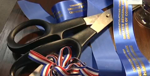 Captico Ribbon Scissors