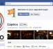 Picture 9 Captico New Facebook Pages Layout